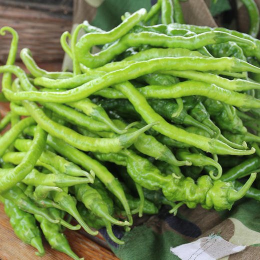密云农家种植二荆条青辣椒300g 新鲜 当天采摘 微辣特香蔬菜 商品图5