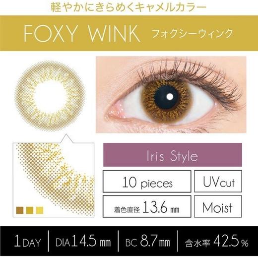 「海淘48小时发）日本Evercolor 1day 一盒10片 商品图4