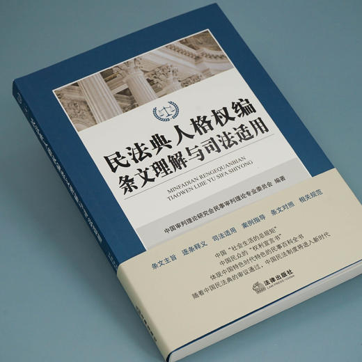 系统学习民法典书系丨「民法典条文理解与司法适用丛书」七本装 • 含总则编、物权编、合同编、人格权编、婚姻家庭编、继承编、侵权责任编 商品图5