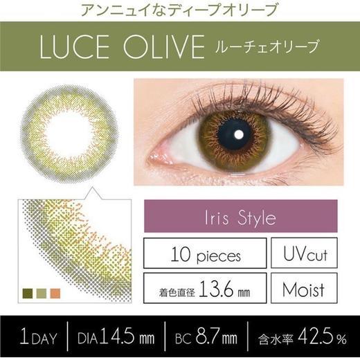 「海淘48小时发）日本Evercolor 1day 一盒10片 商品图2