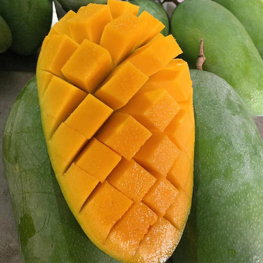 【广西仓发货】越南香甜大青芒  新鲜水果 （黄皮青皮随机） 商品图1