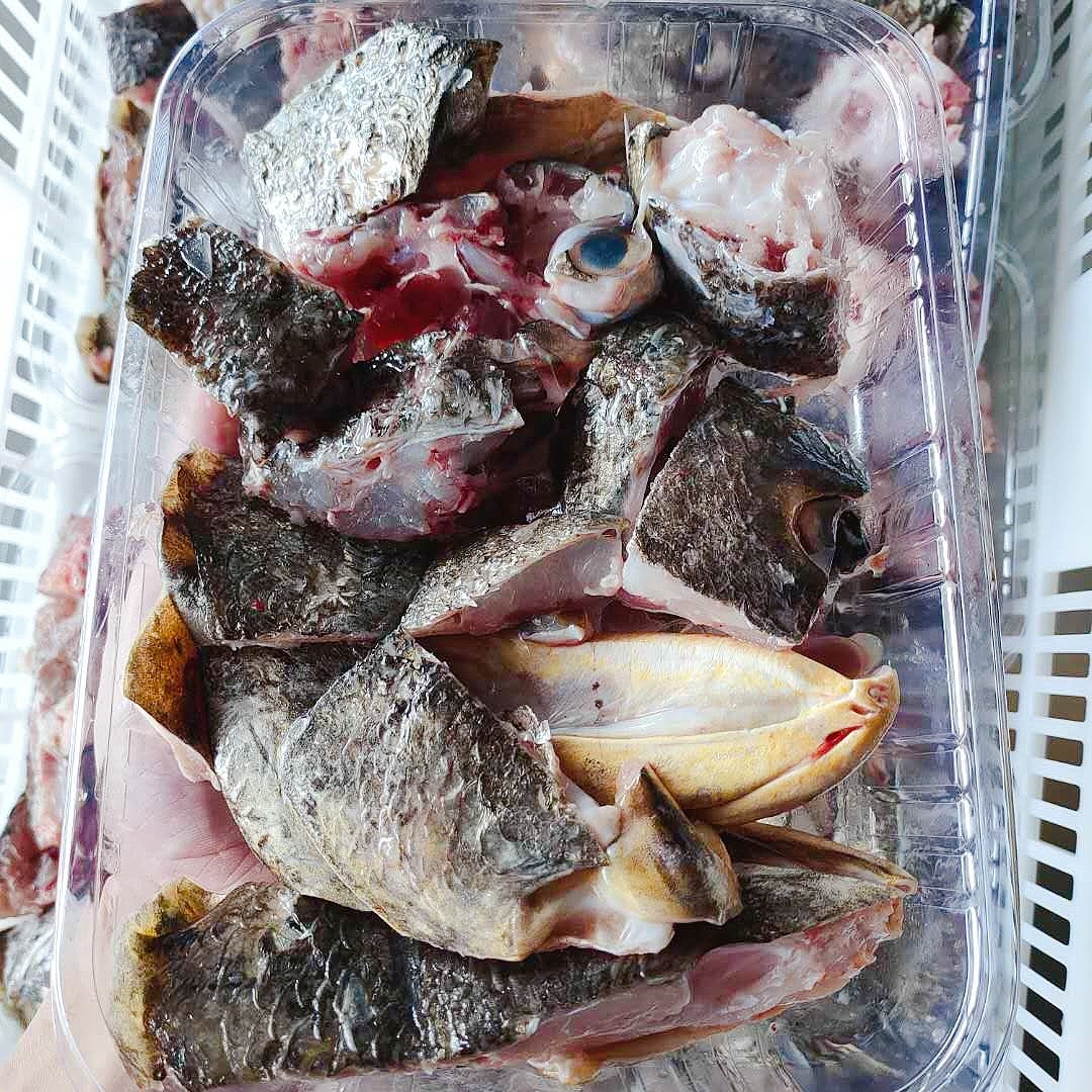 鰵魚頭赤嘴鰵魚是深海魚中的上品營養豐富魚頭殺好洗淨切塊每份淨重約