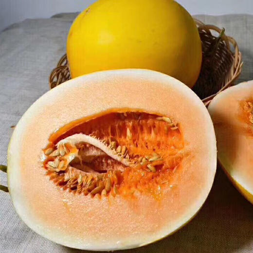 【新品上市】甘肃民勤沙漠金红宝蜜瓜 当季黄河蜜脆甜瓜 新鲜水果哈密香瓜 商品图5