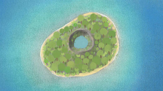 05海岛生物的调查笔记 商品图0