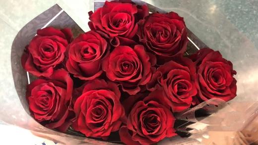 真爱玫瑰10支份买两份减20元花型较大微卷花边