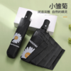 【雨伞】小雏菊太阳伞GD网红同款黑胶全自动晴雨伞创意折叠自动防晒遮阳伞 商品缩略图0