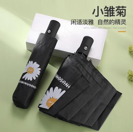 【雨伞】小雏菊太阳伞GD网红同款黑胶全自动晴雨伞创意折叠自动防晒遮阳伞 商品图0