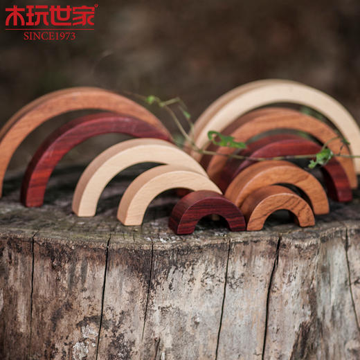 木玩世家爱木太极 大块积木玩具进口木制益智儿童玩具礼物i4008 商品图0