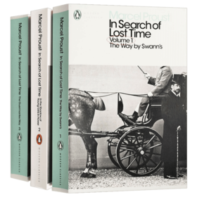 追忆逝水年华3册 英文原版 In Search of Lost Time 英文版意识流小说 回忆录式自传体小说 法国普鲁斯特  Penguin Classics