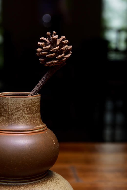 福禄宝瓶 商品图9