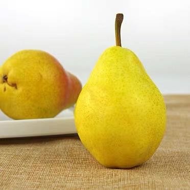 飘把梨 3斤