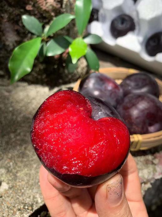 *蜜血玫瑰李 净重4斤装