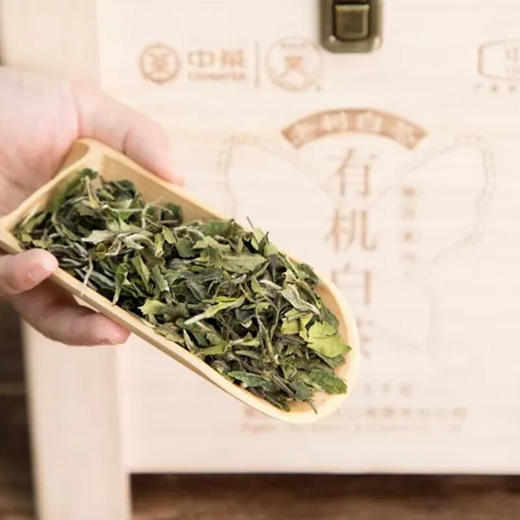 中茶蝴蝶OWT5116有机白茶1000g木盒装 商品图3