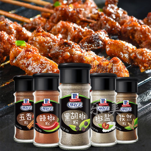 味好美孜然粉烧烤粉咖喱粉调味料系列 商品图0