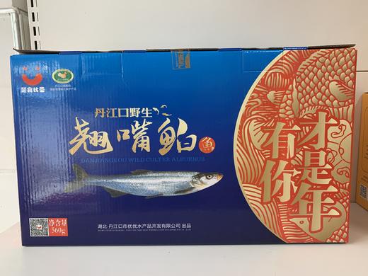 丹江口水库野生翘嘴鲌鱼 560g 礼盒 商品图2