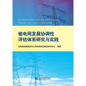 输电网发展协调性评估体系研究与实践