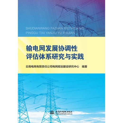 输电网发展协调性评估体系研究与实践 商品图0