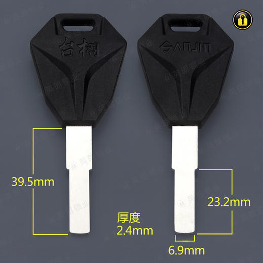 〖6069〗台翔电动车平板 商品图0