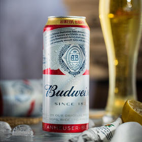 百威啤酒Budweiser经典铝罐装500ml
