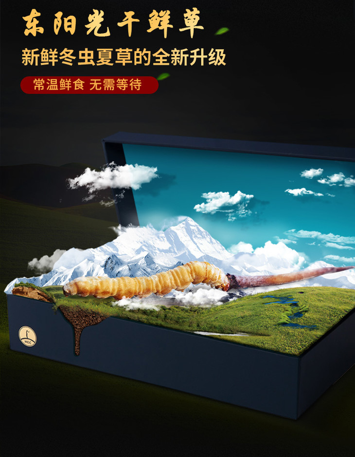 东阳光鲜草生态繁育新鲜冬虫夏草滋补送礼自用虫草顺丰鲜草尝鲜装3支