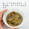 霏鸿茶叶 2020年头春广别老寨云南古树普洱茶生茶茶饼357g 商品缩略图6