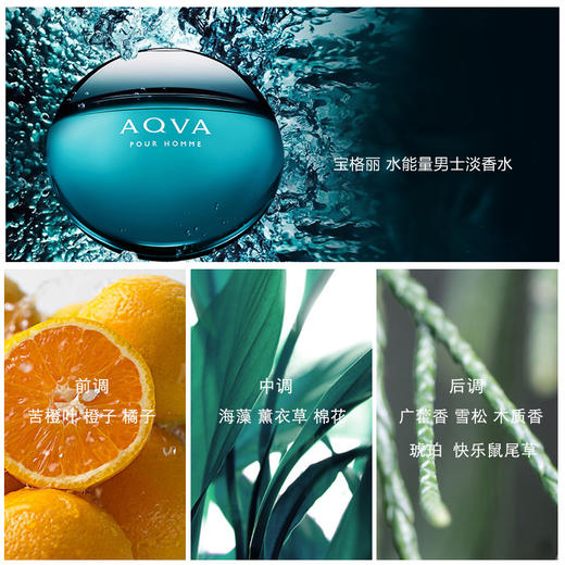 【领30元券再下单】意大利 宝格丽 水能量碧蓝清新男士淡香水 100ml 商品图3