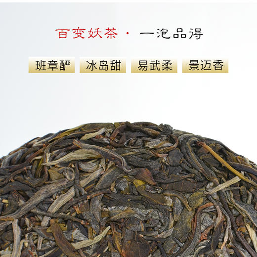霏鸿茶叶 2020年头春广别老寨云南古树普洱茶生茶茶饼357g 商品图2