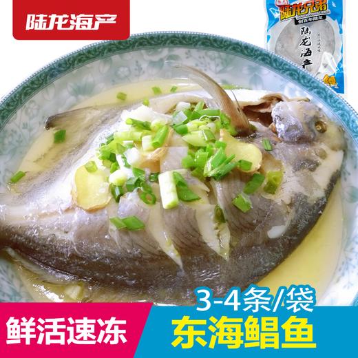1903陆龙东海冷冻鲳鱼500g/3-4条 商品图0