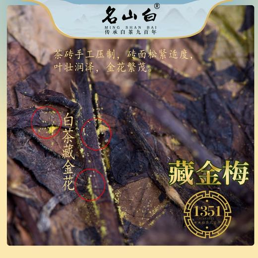 名山白，藏金梅•金花白茶•1351（900克/盒） 商品图3