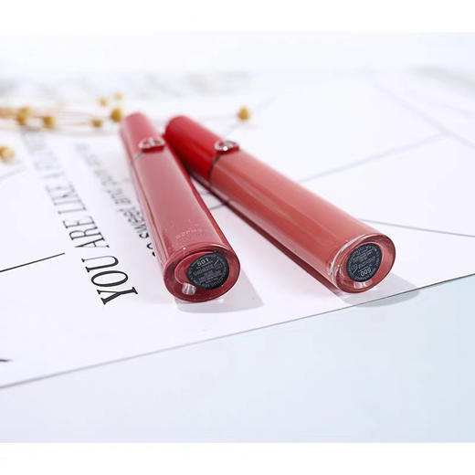 美国阿玛尼红管唇釉（04#/405#/206#/201#） 商品图4