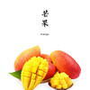 生态芒果  4.8斤 产地：云南【基地直发】 商品缩略图0