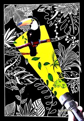 《森林探秘》【自动发货：下单后，点击手机短信中收到的链接，即可获取文件下载的链接；如有任何问题，可添加客服微信hm33268获得帮助】