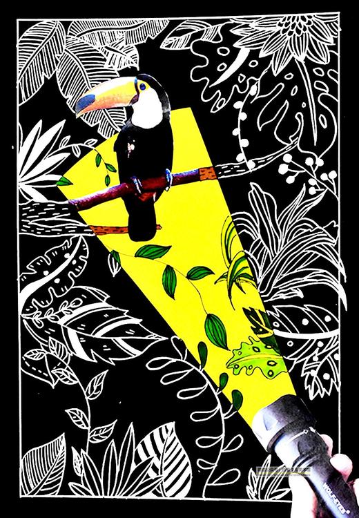 《森林探秘》【自动发货：下单后，点击手机短信中收到的链接，即可获取文件下载的链接；如有任何问题，可添加客服微信hm33268获得帮助】 商品图0