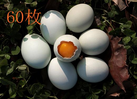 新鲜绿壳乌鸡蛋，一枚有身份证的好蛋,60枚装 商品图0