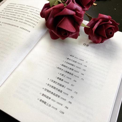战争之间 1919-1939 商品图3