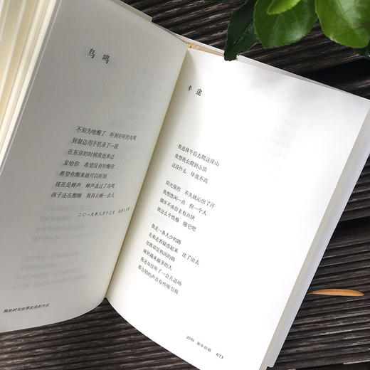 独处时与世界交流的方式 谜文库系列 张新颖诗歌集 精装正版 商品图6