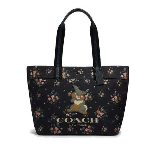 【超值福利】纯原单蔻驰迪士尼合作款帆布包