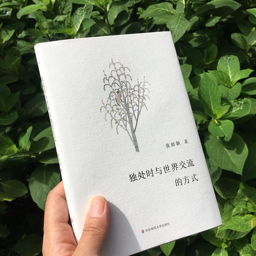 独处时与世界交流的方式 谜文库系列 张新颖诗歌集 精装正版 商品图3