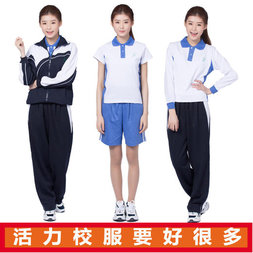 深圳罗湖外实验学校（原罗芳中学）新生套餐附校徽 商品图1