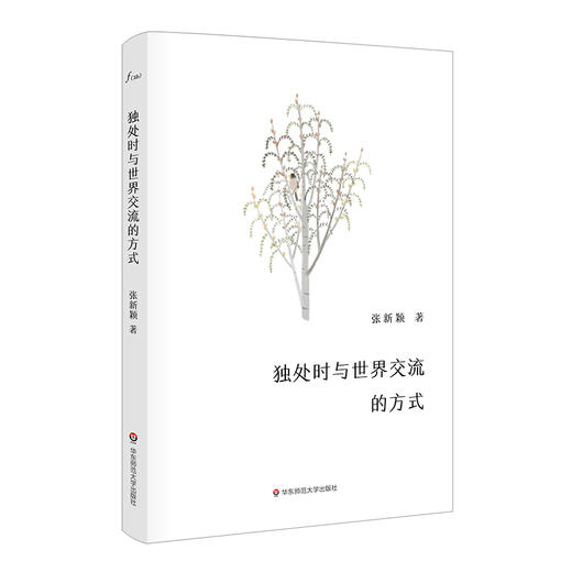 独处时与世界交流的方式 谜文库系列 张新颖诗歌集 精装正版 商品图0