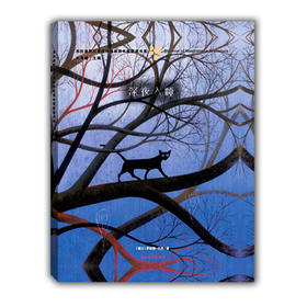 深夜入睡 布拉迪斯拉发国际插画双年展获奖书系金苹果奖 正版精装绘本 国际级插画大师作品 3-8岁儿童读物