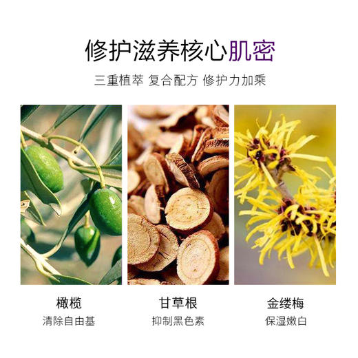 【美白遮瑕 提亮肤色】台湾 欧贝雪O’Bsal  花漾雪颜改善暗沉保湿提亮日霜 商品图3