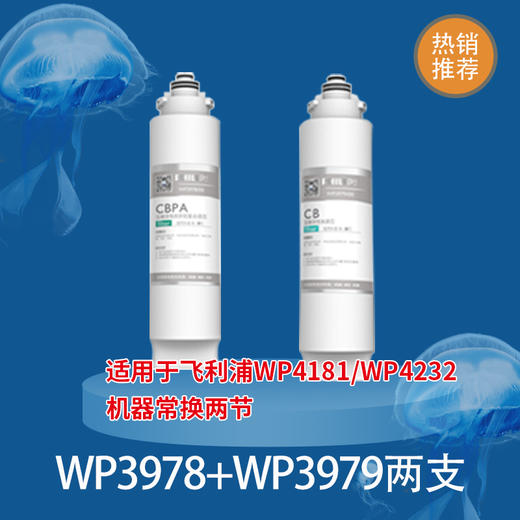  Philips/飞利浦WP4181/WP4232净水器第一、第二节滤芯WP3978(CBPA)+WP3979（CB）常换两支组合 商品图1