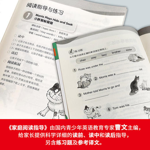 大猫英语分级阅读六级1(适合小学四.五年级)(6册读物+1册指导)(附光盘) 商品图5