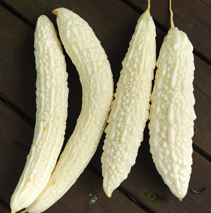 白苦瓜500g
