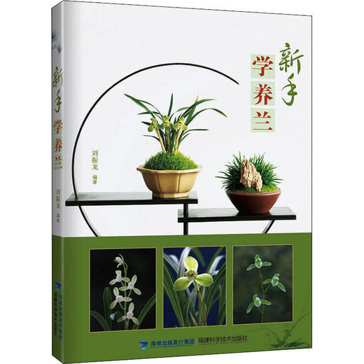 新手学养兰 商品图0