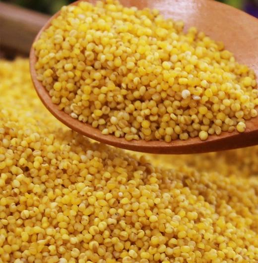 碧夏山庄小米 农家种植 颗粒饱满 精挑细选 浓浓谷香 营养早餐粗粮 老少皆宜营养丰富 商品图9