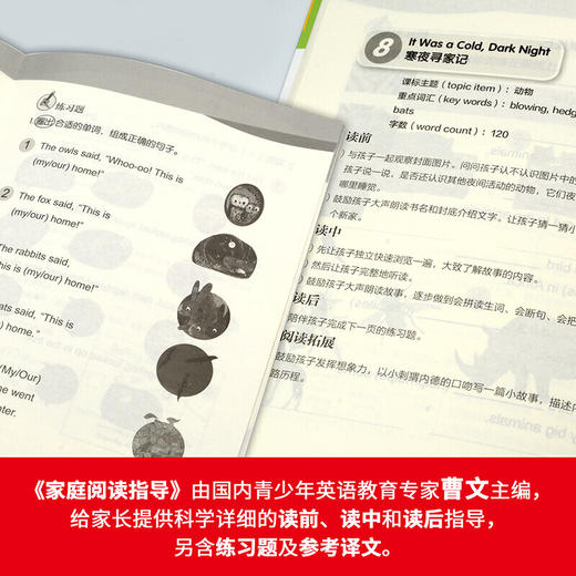 大猫英语分级阅读三级2(适合小学三.四年级)(9册读物+1册指导)(附光盘) 商品图5