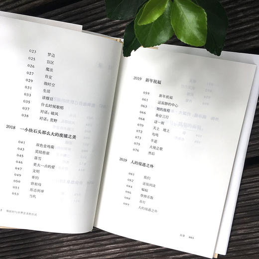 独处时与世界交流的方式 谜文库系列 张新颖诗歌集 精装正版 商品图5