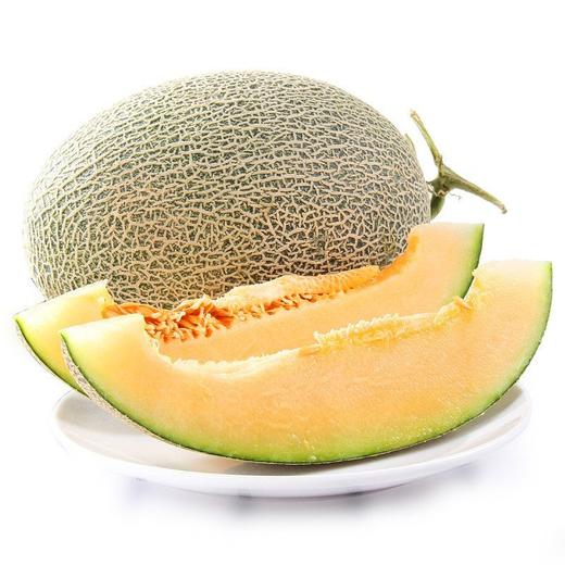 西洲蜜(1500g±100g) 商品图0